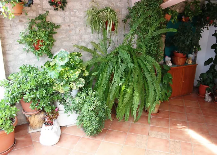 Apartamento Nada Sali