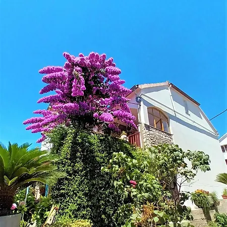 Apartment Nada Sali