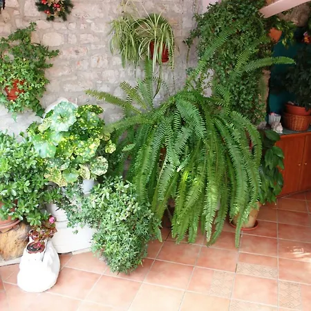 Apartment Nada Sali